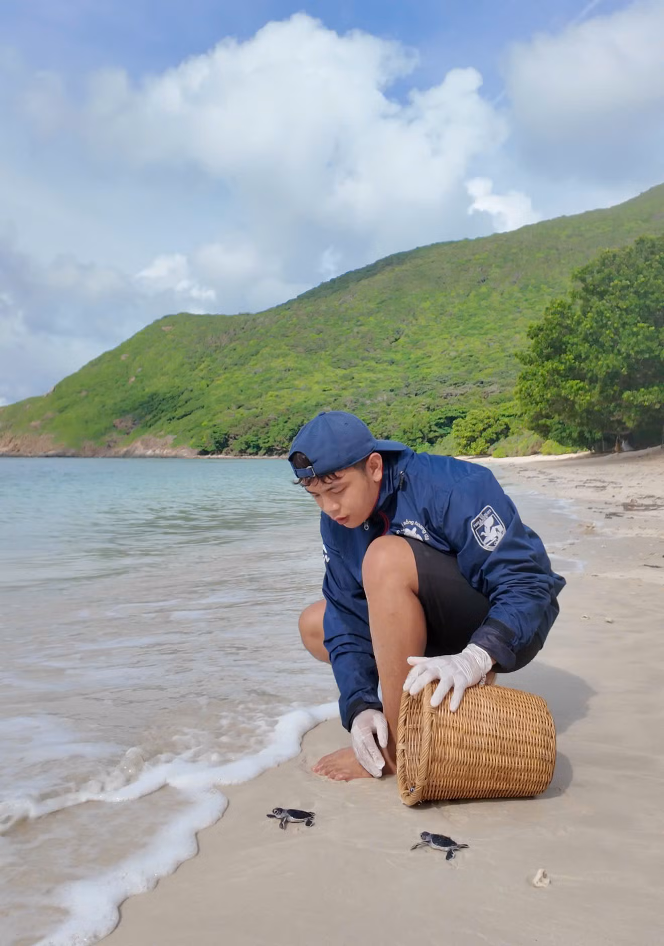 Hằng đêm, từ 19h đến 3h sáng, rùa mẹ sẽ bò lên bãi cát đẻ trứng. Công việc của các tình nguyện viên là theo dõi, hỗ trợ chuyên viên lấy trứng trực tiếp đưa vào hồ ấp tại trạm Bảy Cạnh. Hằng đêm, từ 19h đến 3h sáng, rùa mẹ sẽ bò lên bãi cát đẻ trứng. Công việc của các tình nguyện viên là theo dõi, hỗ trợ chuyên viên lấy trứng trực tiếp đưa vào hồ ấp tại trạm Bảy Cạnh.
