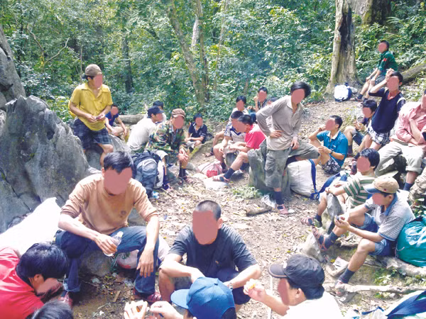 Vùng Trại Lá tập trung hầu hết băng nhóm canh giữ và tìm cách đưa gỗ sưa ra khỏi rừng Ảnh: PV