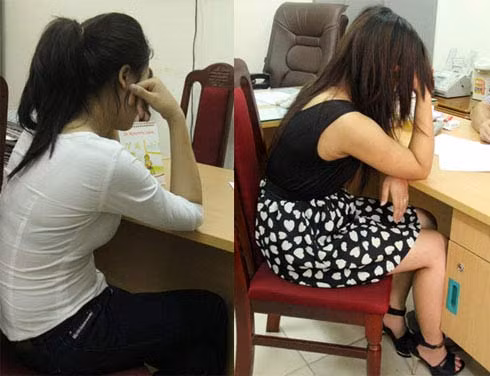 Đường dây sinh viên. Ảnh: H.A. Đường dây sinh viên. Ảnh: H.A