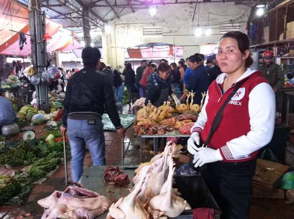 Nhiều tiểu thương khẳng định gà ta Bắc Giang xịn nhưng giá chỉ bằng nửa