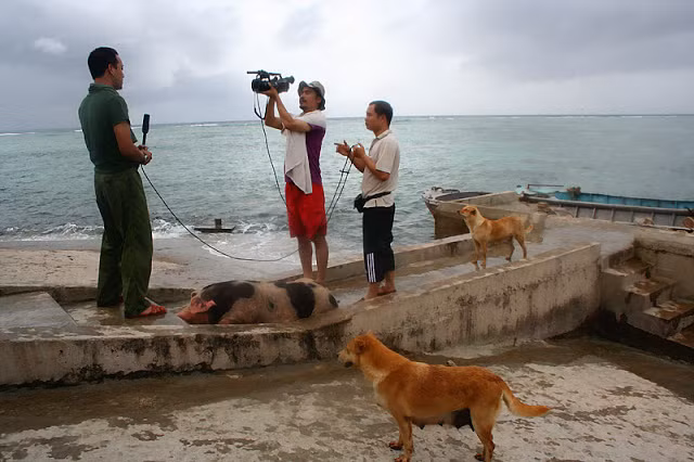 Ra cầu cảng vừa trông cho 