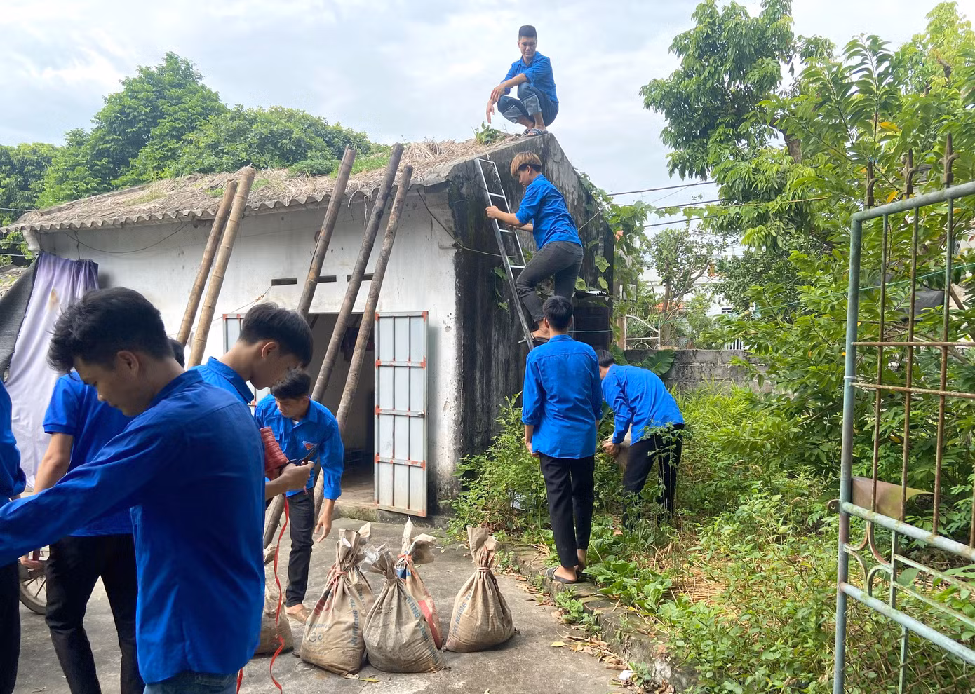 Thanh niên tình nguyện hỗ trợ người dân gia cố nhà cửa chống bão. Ảnh: TĐTB