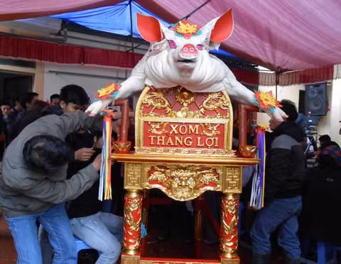 Người dân tập trung trang trí cho “ông lợn”. Mỗi “ông” nặng khoảng gần 2 tạ