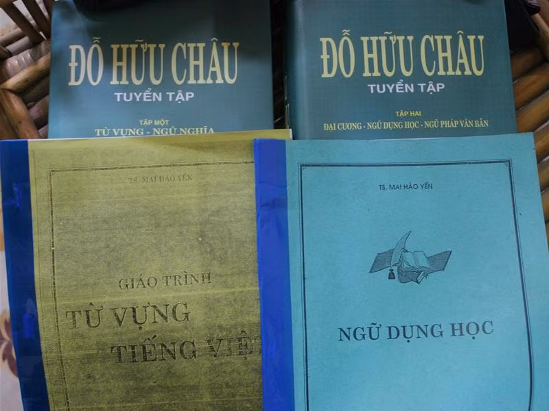 Giáo trình của TS Mai Thị Hảo Yến và Tuyển tập của GS - TS Đỗ Hữu Châu