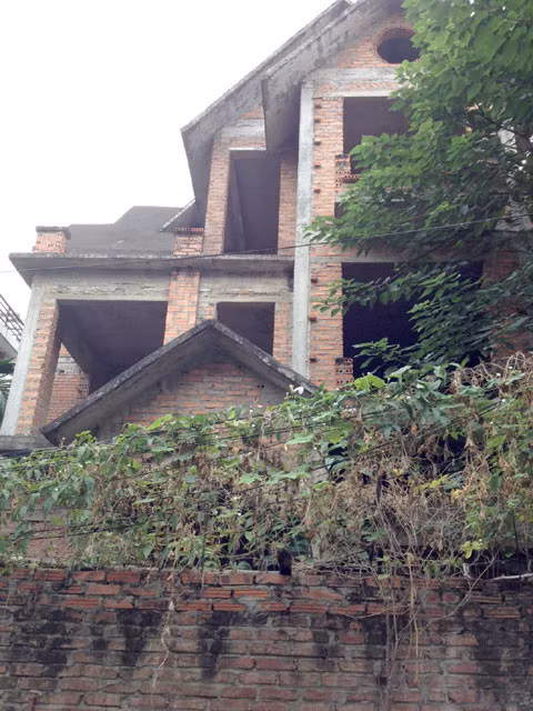 Một số người xây bịt cả căn nhà như lô cốt, mặc cho cây dại mọc đầy lối đi, leo lên tường
