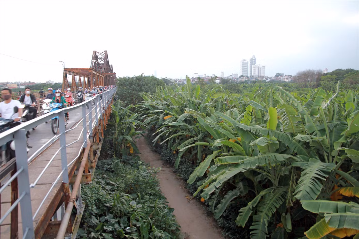 Một phần bãi giữa sông Hồng nhìn từ cầu Long Biên. Ảnh: N.M.HÀ