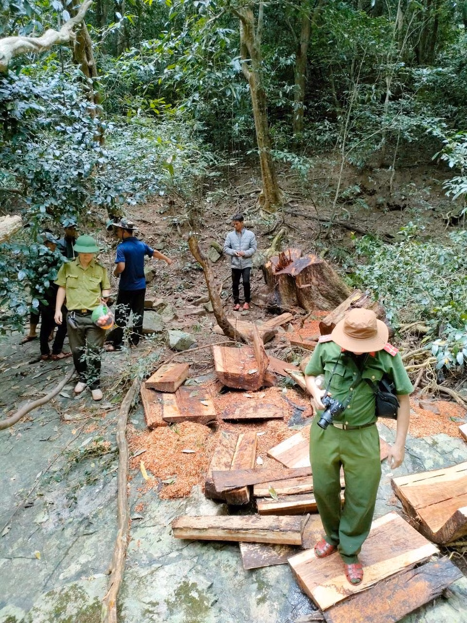 Rừng ở K'Bang luôn bị lâm tặc nhòm ngó Rừng ở K'Bang luôn bị lâm tặc nhòm ngó