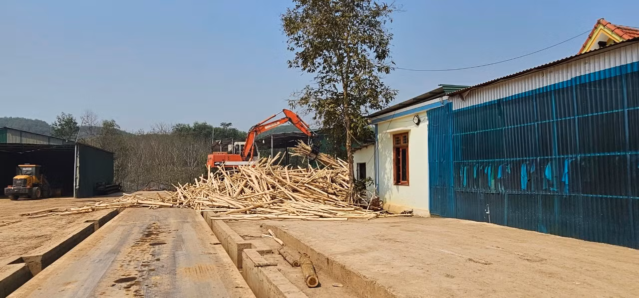 Xưởng chế biến gỗ của ông Trần Văn Xuân (xã Bãi Trành, huyện Như Xuân) trên đất nông nghiệp