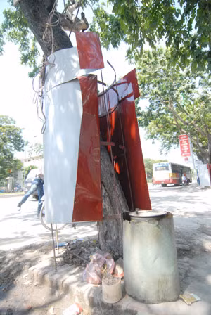 Váy được cởi, gốc sưa thành nơi đặt bếp than tổ ong