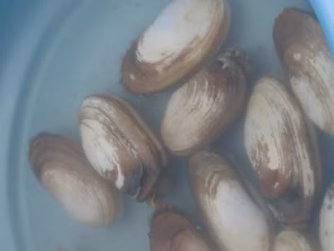 Tu hài