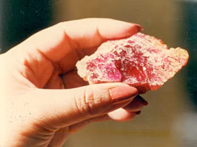 Ruby đỏ màu máu bồ câu(phần sẫm màu ở giữa mẫu khoáng vật) sau bán được với giá 30.000 đô la