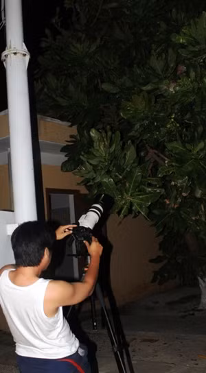 Cuốn hút ống kính máy ảnh
