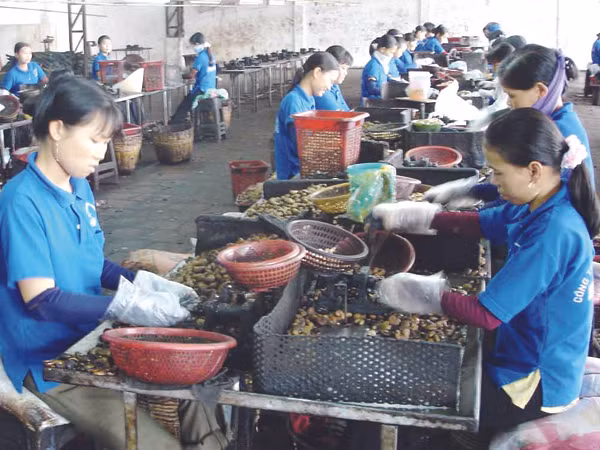 Làm quần quật cả năm nhưng Tết này không ít công nhân tại một số KCN ở TPHCM không thể về quê ăn Tết vì lương, thưởng quá bèo. Ảnh: P.V