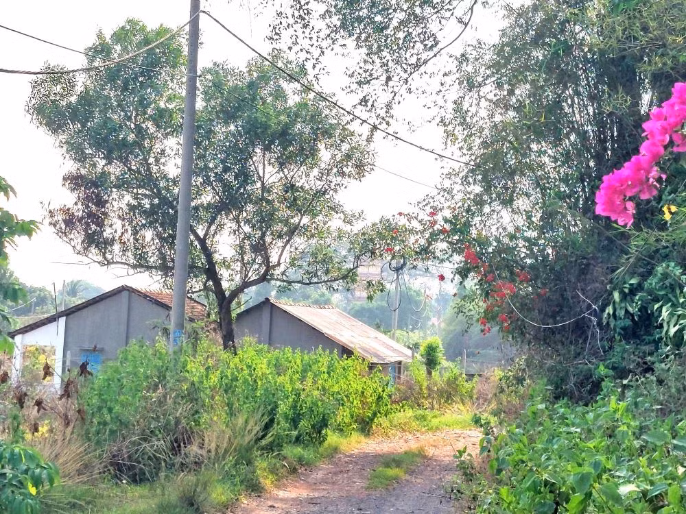 Sau thời gian dài dự án “đắp chiếu”, đến cuối năm 2015, Công ty Tân Vũ Minh có văn bản kiến nghị UBND tỉnh Bình Dương thu hồi dự án. Lúc bấy giờ, tỉnh Bình Dương đã chấp thuận về việc thu hồi chủ trương xây dựng dự án Khu dân cư Thế kỷ 21. Sau thời gian dài dự án “đắp chiếu”, đến cuối năm 2015, Công ty Tân Vũ Minh có văn bản kiến nghị UBND tỉnh Bình Dương thu hồi dự án. Lúc bấy giờ, tỉnh Bình Dương đã chấp thuận về việc thu hồi chủ trương xây dựng dự án Khu dân cư Thế kỷ 21.