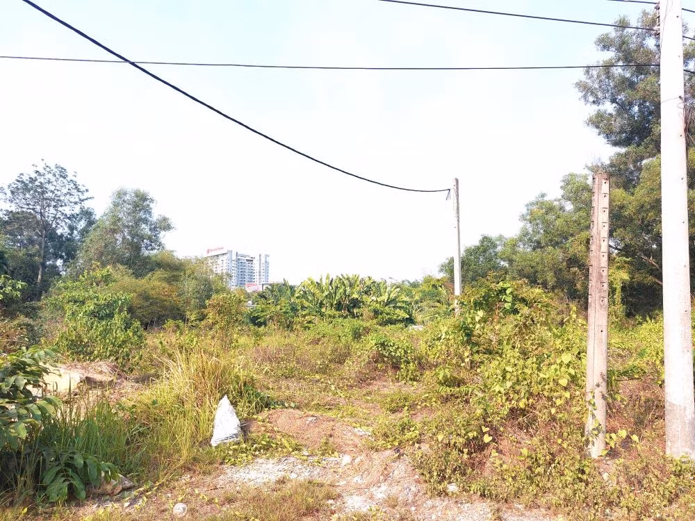 Bố trí quỹ đất ở vị trí đắc địa, tỉnh Bình Dương kỳ vọng Dự án Khu dân cư Thế kỷ 21 làm thay đổi bộ mặt đô thị văn minh, hiện đại của TP. Thủ Dầu Một. Tuy nhiên, trong quá trình triển khai dự án, phát sinh các vấn đề về pháp lý, giải tỏa đền bù… dẫn đến chủ đầu tư chưa thể thực hiện theo kế hoạch. Bố trí quỹ đất ở vị trí đắc địa, tỉnh Bình Dương kỳ vọng Dự án Khu dân cư Thế kỷ 21 làm thay đổi bộ mặt đô thị văn minh, hiện đại của TP. Thủ Dầu Một. Tuy nhiên, trong quá trình triển khai dự án, phát sinh các vấn đề về pháp lý, giải tỏa đền bù… dẫn đến chủ đầu tư chưa thể thực hiện theo kế hoạch.