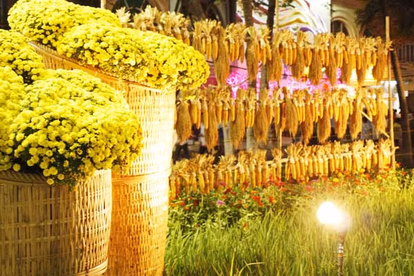 Hoa bắp – hình ảnh đậm chất nông thôn Việt Nam