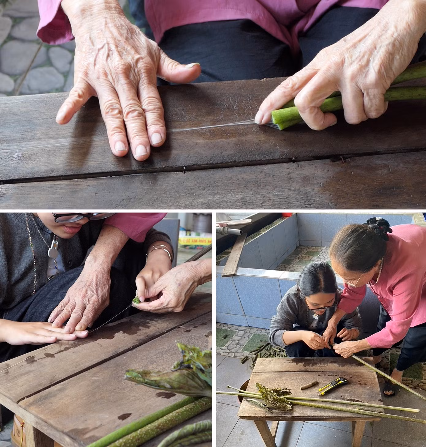 Nghệ nhân tơ tằm Phan Thị Thuận hướng dẫn sinh viên RMIT làm tơ sen từ các sợi mảnh mai trong cuống sen. (Hình: Bùi Hoàng Tiến Dũng, Titi Rylander) Nghệ nhân tơ tằm Phan Thị Thuận hướng dẫn sinh viên RMIT làm tơ sen từ các sợi mảnh mai trong cuống sen. (Hình: Bùi Hoàng Tiến Dũng, Titi Rylander)