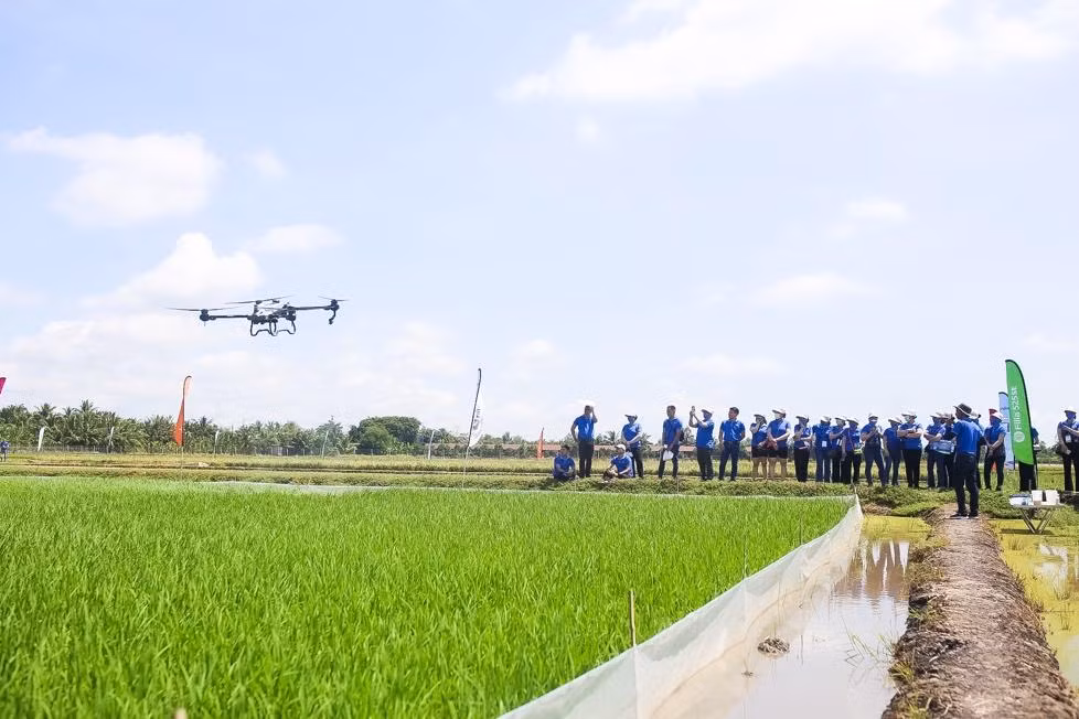 Chị em nông dân đã được đội ngũ Syngenta hướng dẫn cách áp dụng những công nghệ hiện đại vào canh tác Chị em nông dân đã được đội ngũ Syngenta hướng dẫn cách áp dụng những công nghệ hiện đại vào canh tác