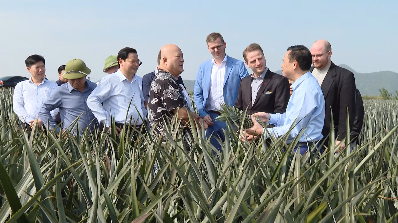 Đoàn đại biểu đến thăm Nông trường Đồng Giao, Tam Điệp, Ninh Bình. Ảnh: N.L. Đoàn đại biểu đến thăm Nông trường Đồng Giao, Tam Điệp, Ninh Bình. Ảnh: N.L.