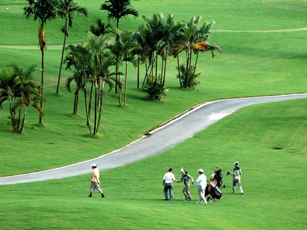 Nhiều nơi đất lúa bị mất vì sân golf. Ảnh: Hồng Vĩnh