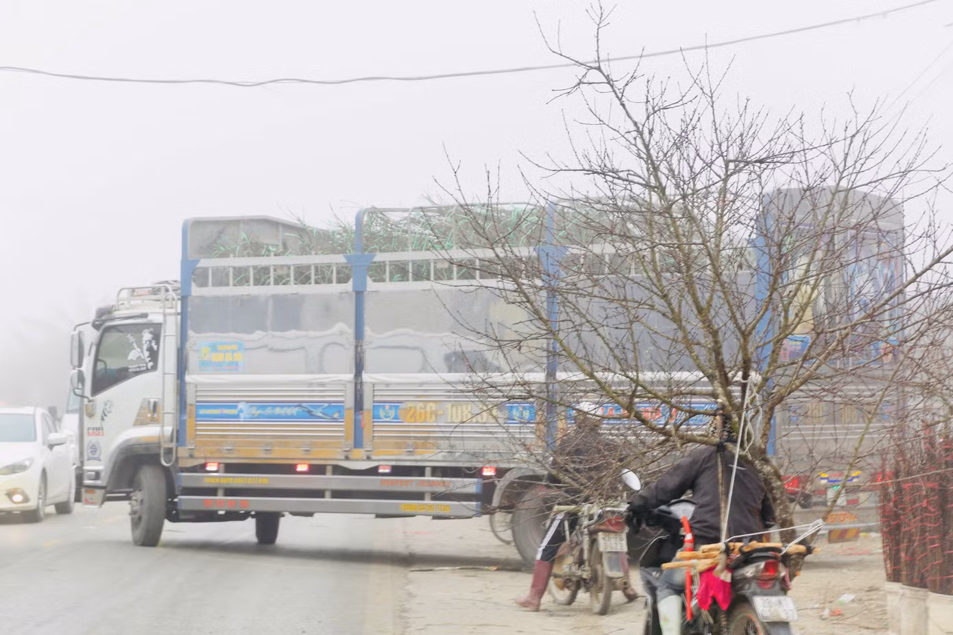 Giá cây đào ở đây dao động từ khoảng 300.000 - 1.000.000 đồng tùy kích thước và kiểu dáng. Những gốc đào xù xì rêu mốc cổ thụ lâu năm có giá lên tới vài triệu đồng.