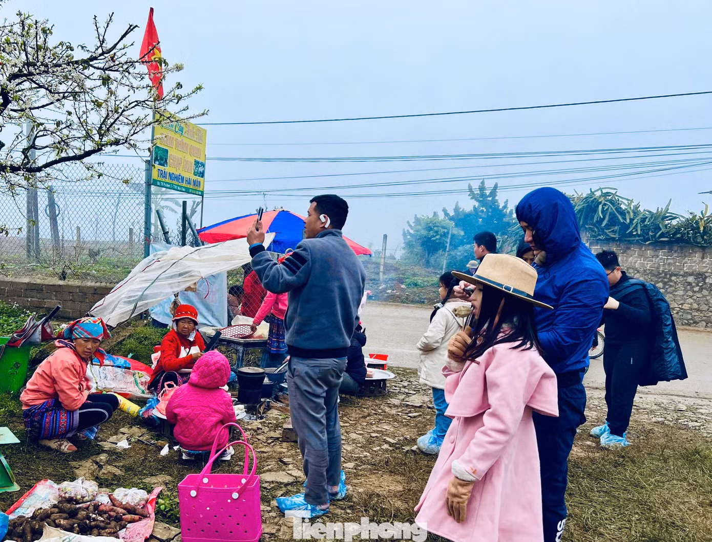 "Du khách nếu muốn chiêm ngưỡng mùa hoa mận rực rỡ cần lên kế hoạch tới Mộc Châu sớm. Tốt nhất là không nên đi vào cuối tuần để tránh tắc đường, đông người", anh Tiểu Bảo, chủ nhà vườn mận ở Mộc Châu cho biết.