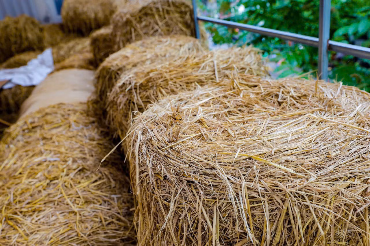 Nằm trên phố Huế sầm uất, một địa điểm có mặt tiền khiêm tốn nhưng bên trong là không gian rộng hơn 300m2. Mô hình cho thuê không gian làm việc ở ngay trung tâm Hà Nội với cách thu tiền theo giờ giống như… quán nét đang thu hút đông giới trẻ tìm đến làm việc, thư giãn. Nằm trên phố Huế sầm uất, một địa điểm có mặt tiền khiêm tốn nhưng bên trong là không gian rộng hơn 300m2. Mô hình cho thuê không gian làm việc ở ngay trung tâm Hà Nội với cách thu tiền theo giờ giống như… quán nét đang thu hút đông giới trẻ tìm đến làm việc, thư giãn.