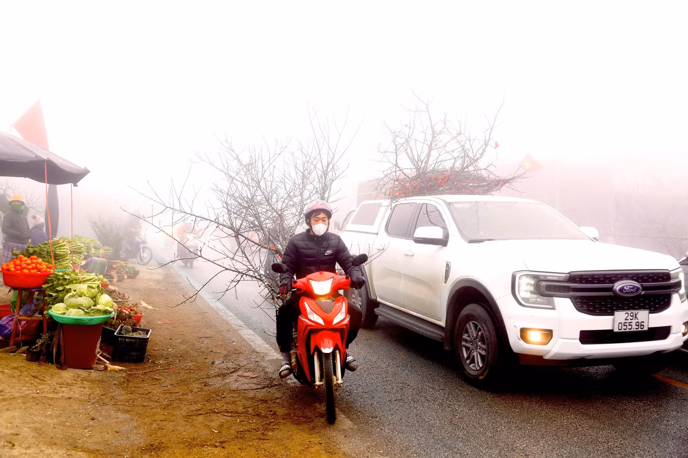 Những cành đào được bó gọn lại cẩn thận, chằng buộc kỹ lên xe và chuyển về những tỉnh miền xuôi như Hà Nội, Hưng Yên, Hà Nam....phục vụ nhu cầu người dân chơi Tết.