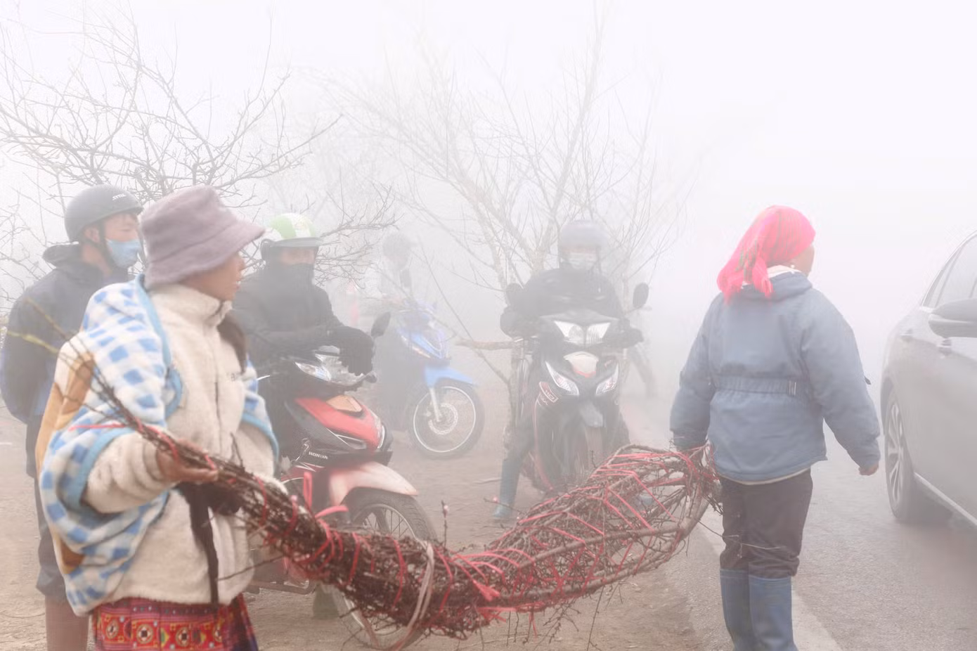 Giá cây đào ở đây dao động từ khoảng 300.000 - 1.000.000 đồng tùy kích thước và kiểu dáng. Những gốc đào xù xì rêu mốc cổ thụ lâu năm có giá lên tới vài triệu đồng.