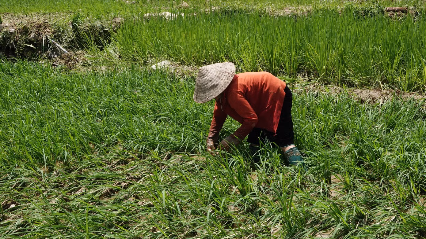 Theo báo cáo của Ban Chỉ huy phòng, chống thiên tai - tìm kiếm cứu nạn huyện Văn Yên, mưa lớn kéo dài từ đêm 20 đến sáng 21/7, đã khiến 3 hộ gia đình bị ảnh hưởng do sạt lở taluy vào nhà. Theo báo cáo của Ban Chỉ huy phòng, chống thiên tai - tìm kiếm cứu nạn huyện Văn Yên, mưa lớn kéo dài từ đêm 20 đến sáng 21/7, đã khiến 3 hộ gia đình bị ảnh hưởng do sạt lở taluy vào nhà.