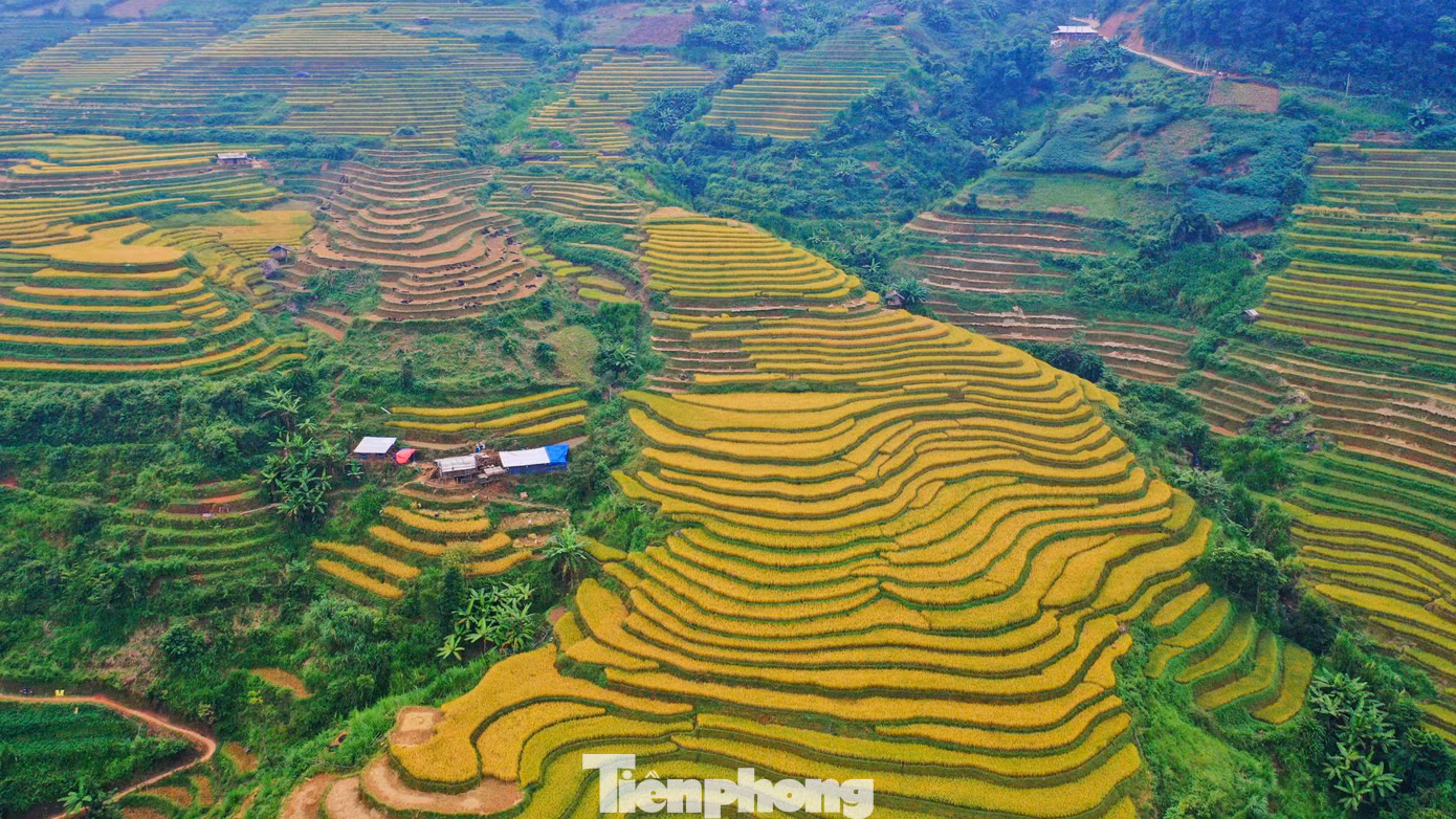 Trao đổi với Tiền Phong, chị Nguyễn Thị Thy (ở Hạ Long, Quảng Ninh) cho biết, chị thấy phong cảnh thực sự đẹp, đẹp hơn rất nhiều trong phim ảnh.