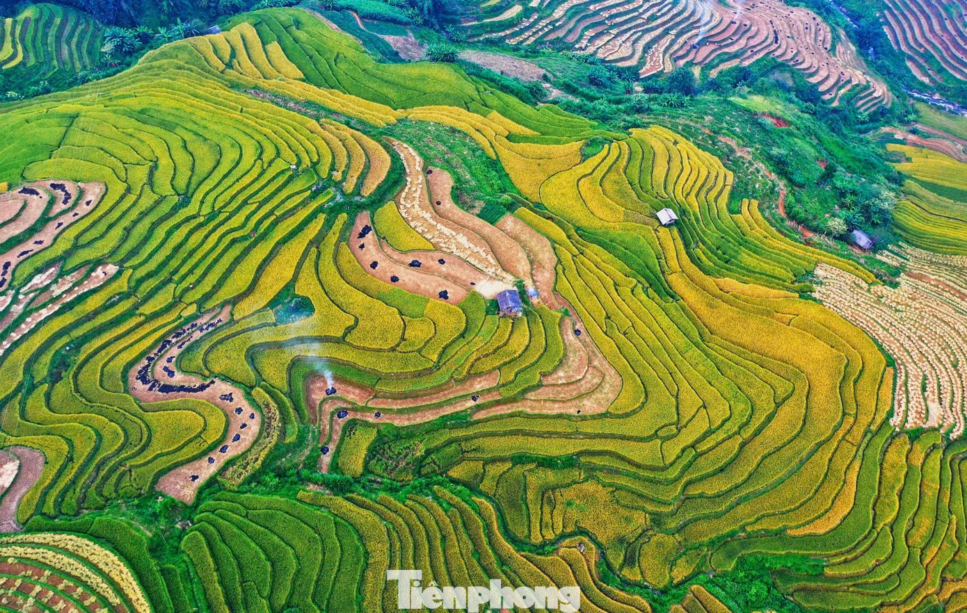 Những thửa ruộng nối tiếp, xếp chồng lên nhau, đều tăm tắp, tạo thành những nấc thang khổng lồ...