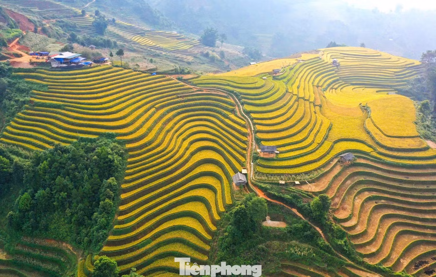 Đồi võng lúa, móng ngựa, xã Mồ Dề thuộc danh thắng ruộng bậc thang Mù Cang Chải, là điểm đến hấp dẫn của khách của du lịch trong mùa lúa chín vào tháng 9 và tháng 10.