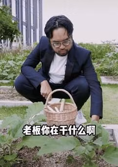 Nơi mà vị phú tam đại này trồng rau lại vô cùng đặc biệt. Nó nằm trên nóc một tòa nhà chọc trời ở Hồng Kông. Nơi mà vị phú tam đại này trồng rau lại vô cùng đặc biệt. Nó nằm trên nóc một tòa nhà chọc trời ở Hồng Kông.