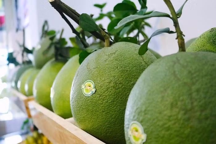 Bưởi là loại quả thứ 7 được xuất khẩu sang Mỹ (ảnh: Cổng TTĐT Bộ Công Thương).
