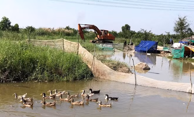 TPHCM chỉ đạo thanh tra dự án khu công nghiệp Phong Phú ảnh 1