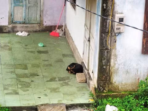 Nhà dân đóng kín cửa, cả gia đình vẫn đi sơ tán trú bão chưa quay về