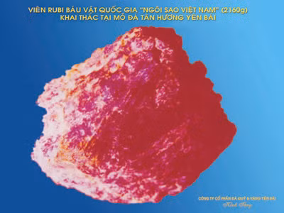 Viên ruby bảo vật quốc gia nặng 2.160 gram. Viên ruby bảo vật quốc gia nặng 2.160 gram