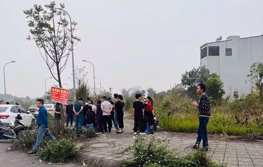 Nhiều cò đất đổ về các tỉnh có thông tin sáp nhập để mua bán tạo "sốt" giả.