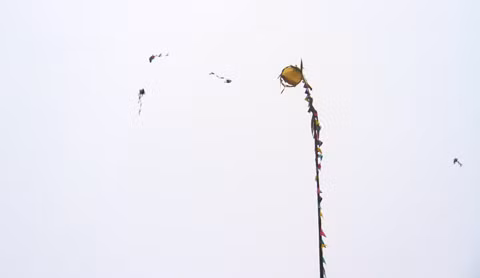 Cuộc thi ném còn...