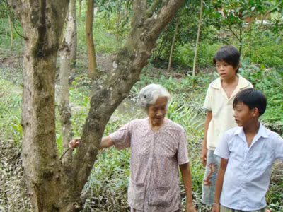 Bà Lê Thị Năm ở ấp 2, xã Tam An bên gốc cây dâu trên chục năm tuổi đã bị chết rụi vì nước ô nhiễm