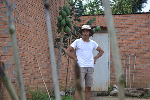 Đứng canh trước sân nhà