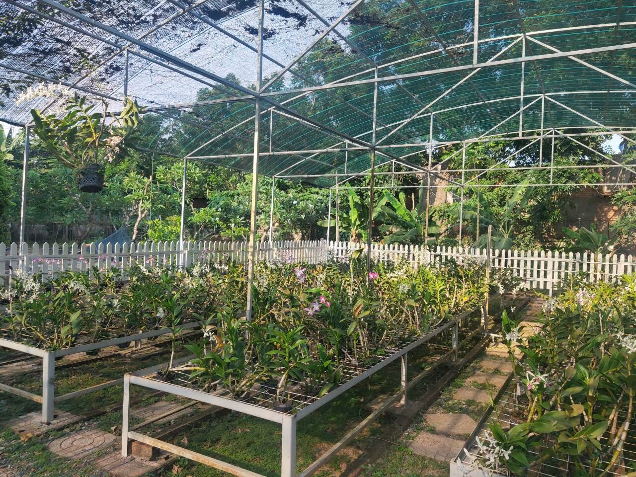 Vườn lan thơ mộng là chỗ cho nhiều bạn sinh viên tìm đến thăm quan, chụp hình.