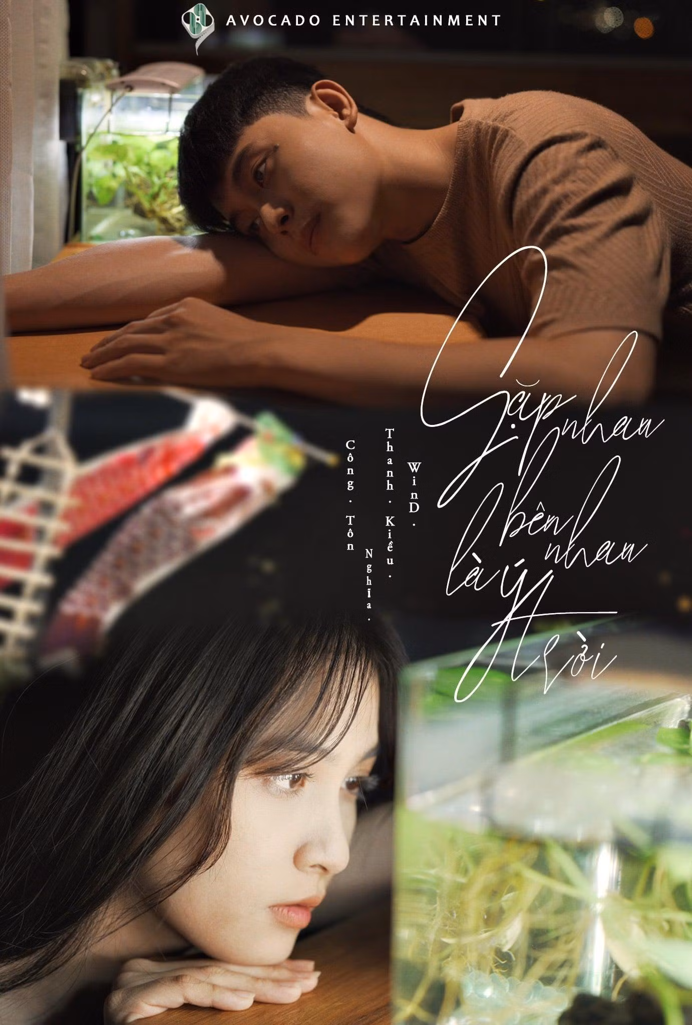 Poster ra mắt MV “Gặp nhau bên nhau là ý trời” được fapage Avocado Entertainment đăng tải.