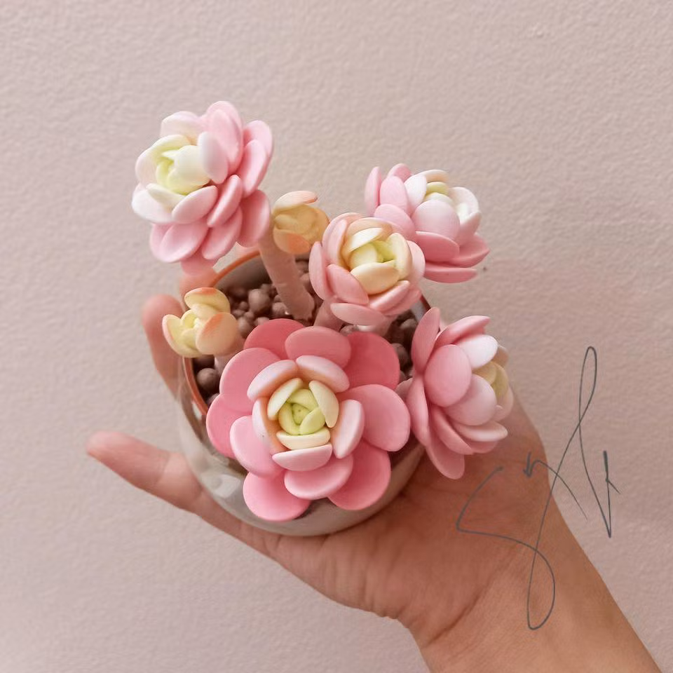 Dung đang cho ra nhiều mẫu sản phẩm hơn để đáp ứng nhu cầu đa dạng của thị trường.