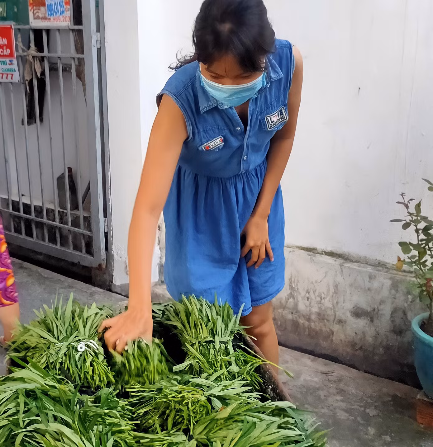 Nhóm bạn tặng rau cho những người dân xung quanh.
