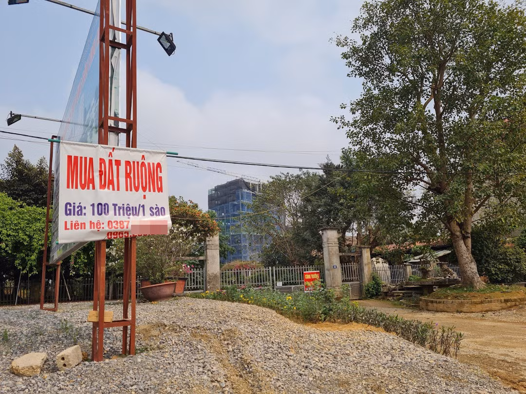 Đủ chiêu trò bán đất rừng, đất ruộng... trong cơn sốt đất quay cuồng ảnh 2