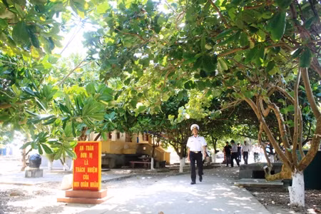 đảo xanh bóng bàng vuông