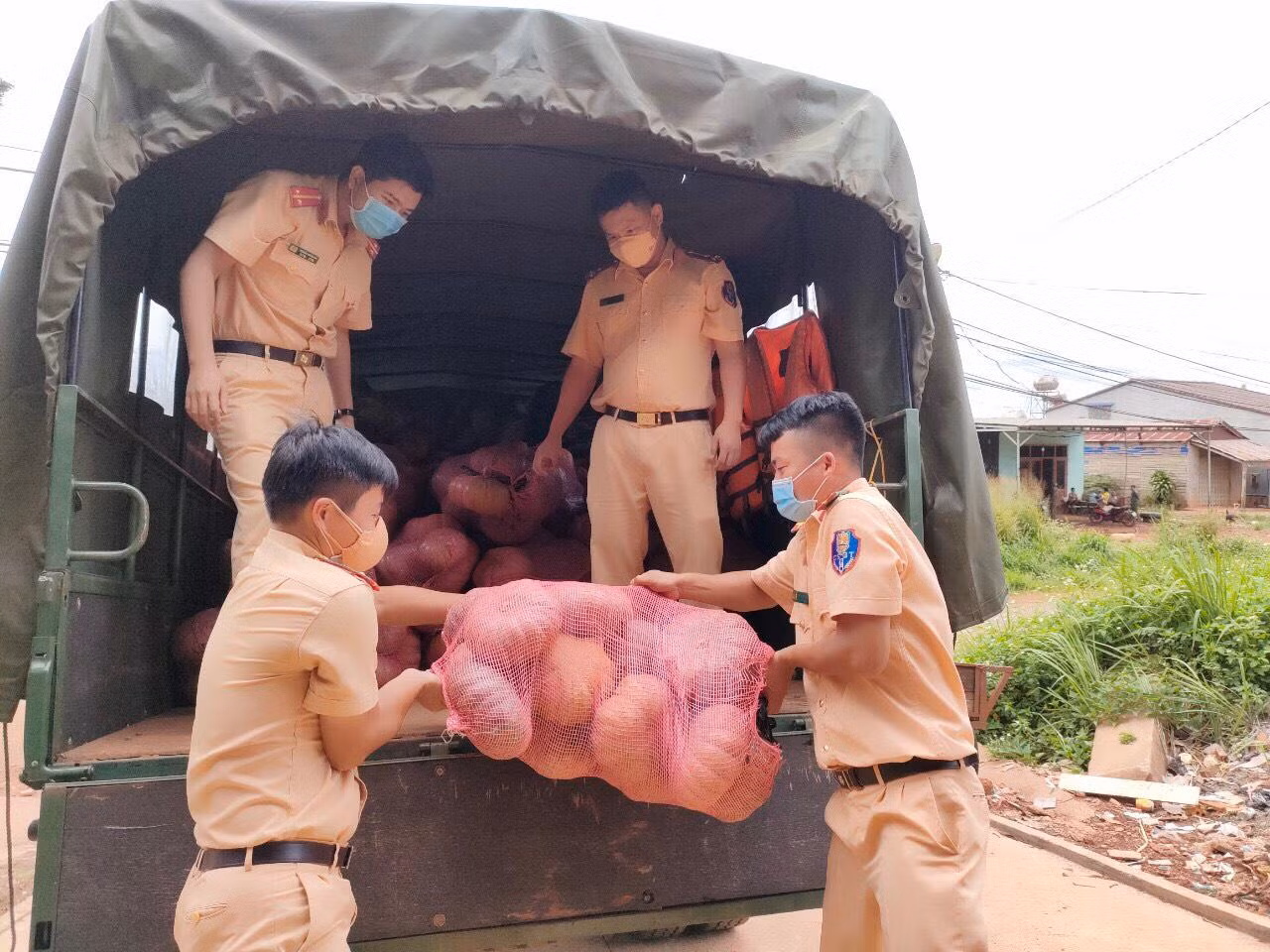 Bí đỏ được thu hái ở vườn, đưa về điểm tập kết