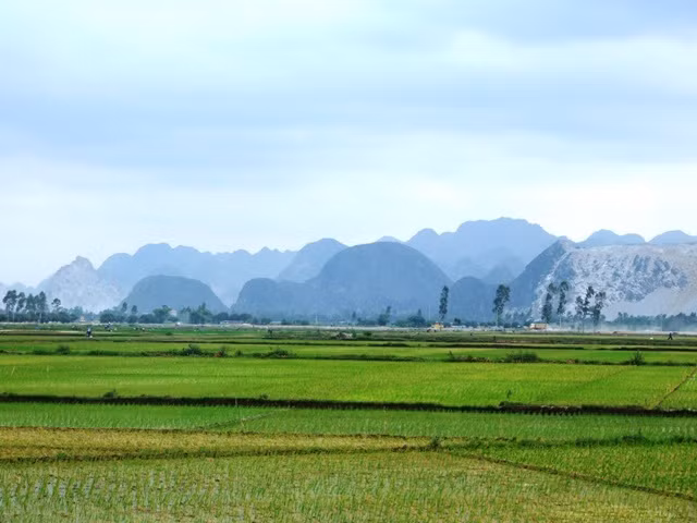 Ảnh minh họa. Nguồn: Internet. Ảnh minh họa. Nguồn: Internet